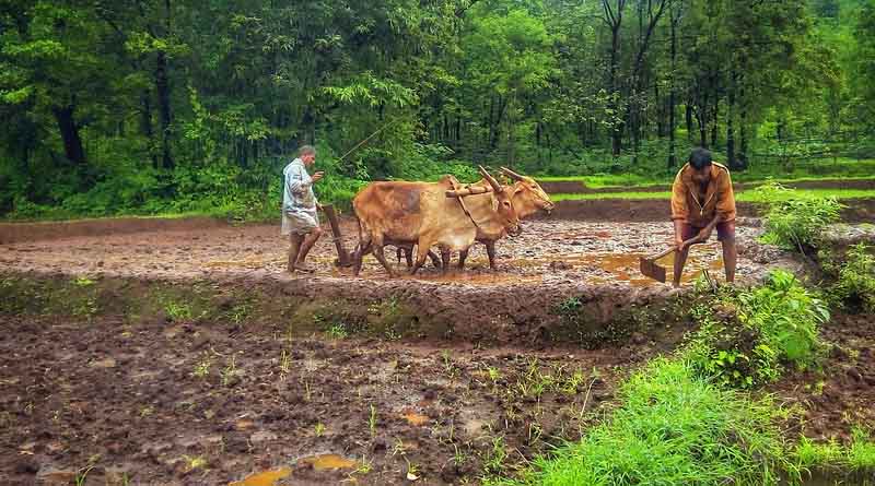Haryana Government is encouraging consumption of coarse grains in the state - JP Dalal