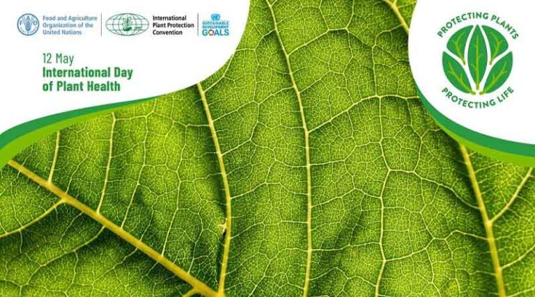 CABI highlights the power of data at International Day of Plant Health event