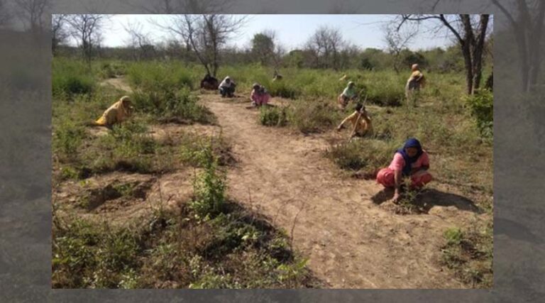 Ambuja Foundation partners with NABARD to implement Watershed Development Project in Punjab