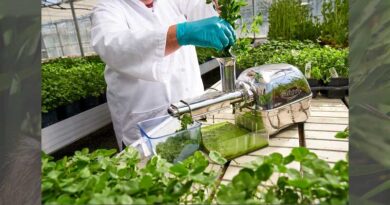 Grass proteins – the sustainable nutrition of the future?