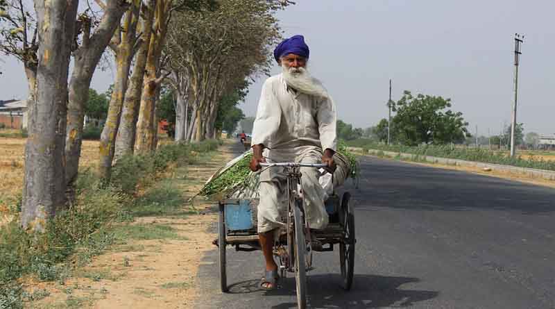 Wheat arrival crosses 100 LMT in Punjab