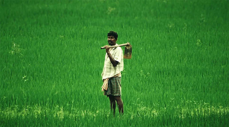 Agriculture Minister holds important meeting with officials, state heads of insurance companies