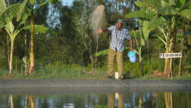 FAO leads global efforts to strengthen aquaculture for food and sustainable development