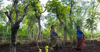 Global Environment Facility approves 26 FAO-led projects to transform agrifood systems into solutions for environmental challenges