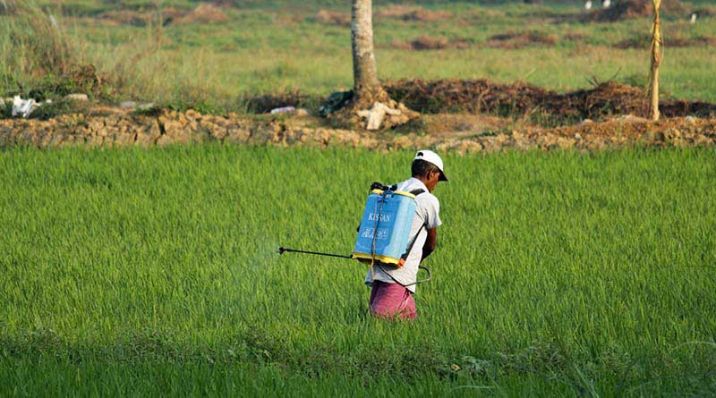 Haryana is not charging interest on loans taken from cooperative societies