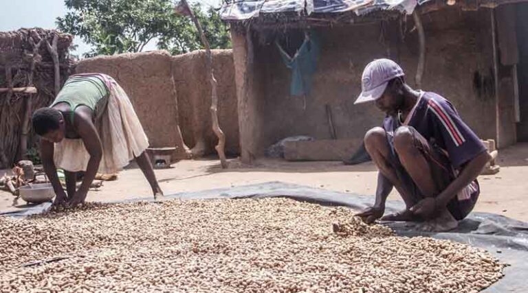 How does better food processing support food security?