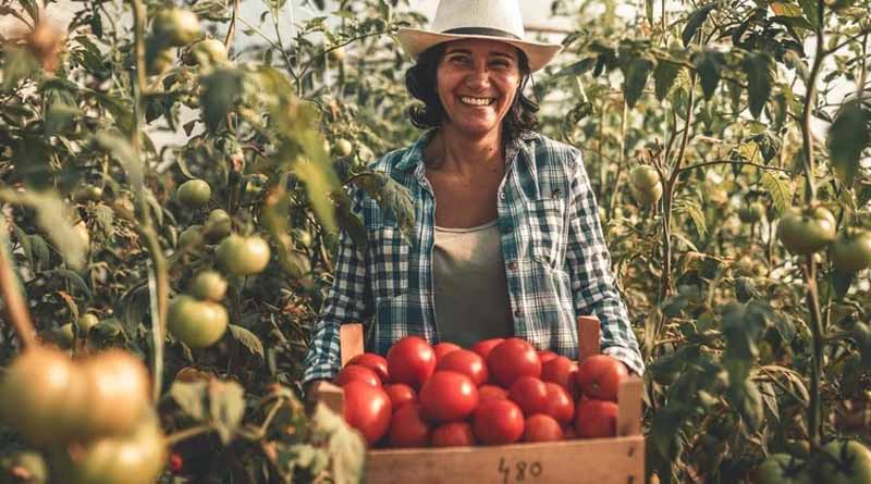 ADAMA 2022 ESG Report Highlights Significant Progress in Portfolio and Operational Sustainability