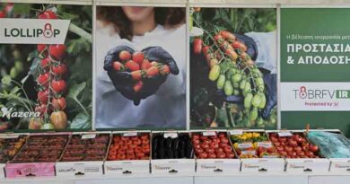Hazera at AgroExpo 2023: “Growers know we have the solution to ToBRFV”