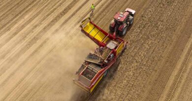 Case IH set to play key part in potato europe 2023