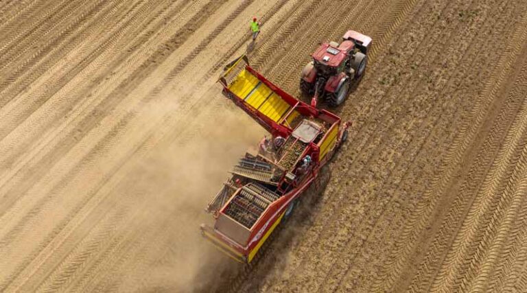 Case IH set to play key part in potato europe 2023