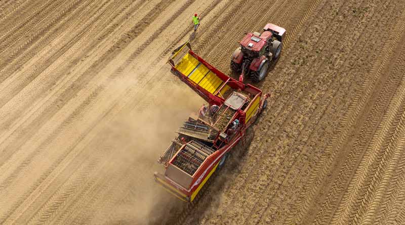 Case IH set to play key part in potato europe 2023