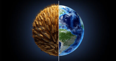 One Of The Oldest Industries Must Embrace Sustainability. Can Agriculture Get There?