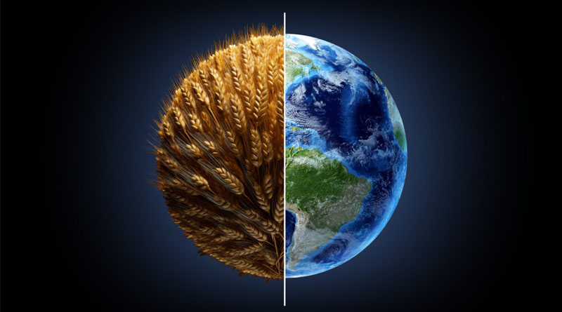 One Of The Oldest Industries Must Embrace Sustainability. Can Agriculture Get There?