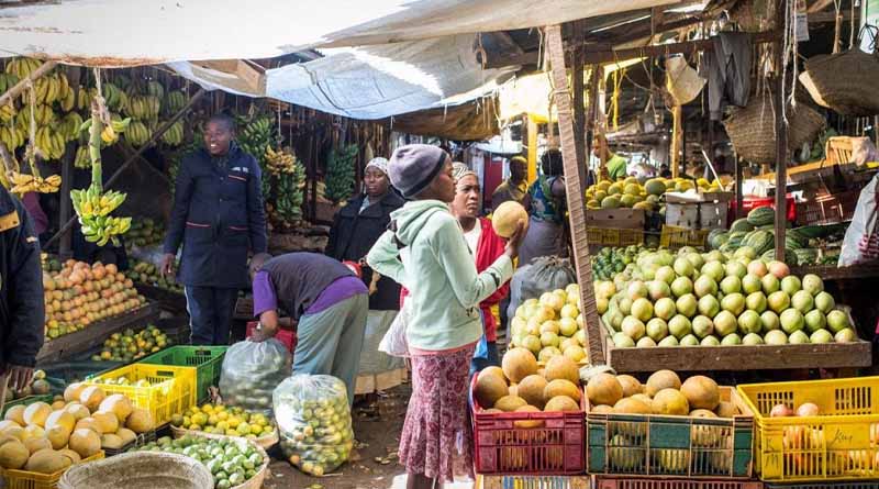 Project launched to improve marketing of pawpaw, mango, avocado and citrus fruits by managing invasive scale insect pests in Eastern Africa