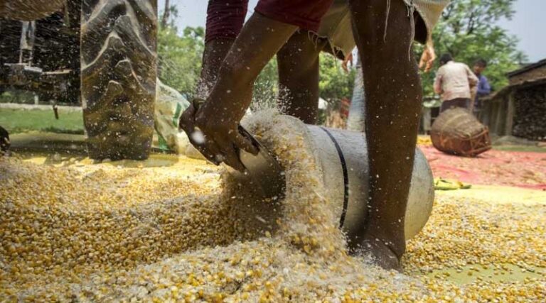Healthy Eating Week 2023: Sustainably feeding a growing world