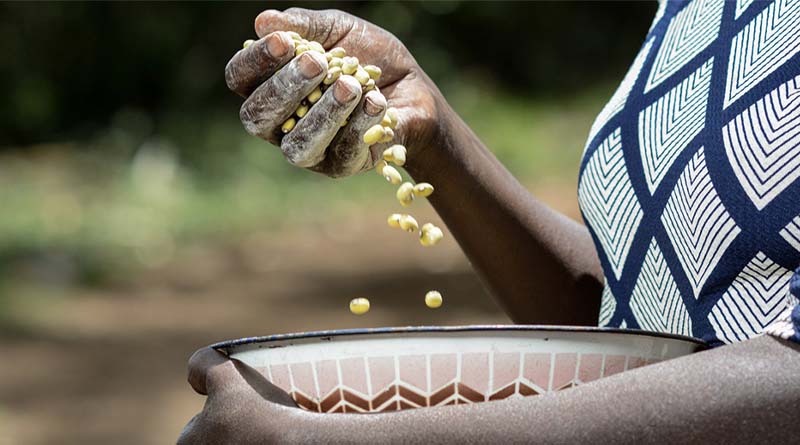 Food security is a national security issue everywhere
