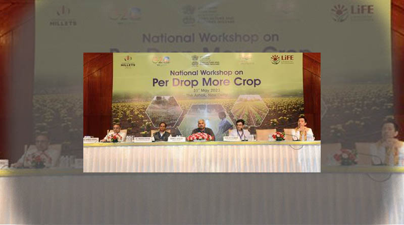 Per Drop More Crop: Area under micro-irrigation in India reaches 78 lakh hectares