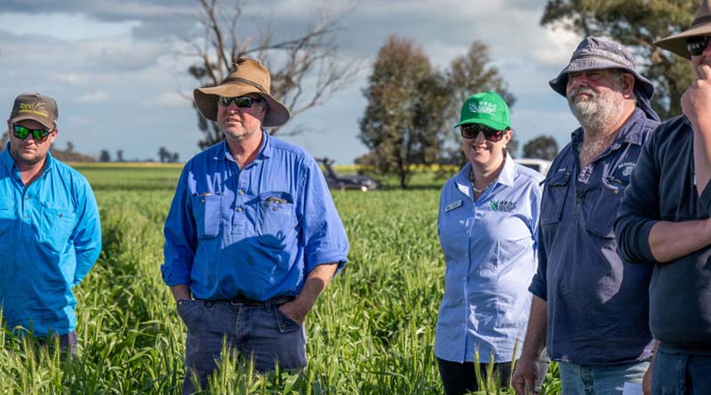 Grains industry leader to front change for women in ag
