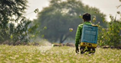 Sign-up for SciDev.Net debate exploring pesticide risks in Kenya
