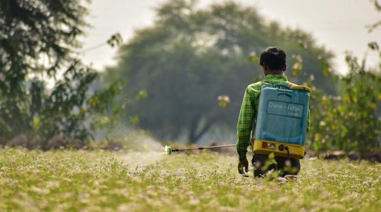 Sign-up for SciDev.Net debate exploring pesticide risks in Kenya