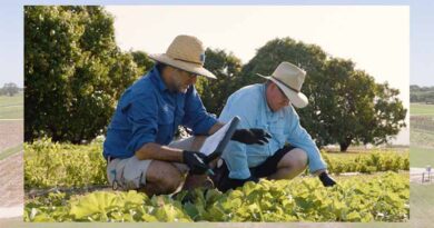 Luna® Experience is now set to benefit vegetable growers