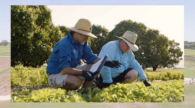 Luna® Experience is now set to benefit vegetable growers