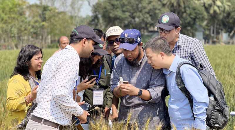 CIMMYT and BWMRI host international training program on surveillance and management strategies for wheat blast