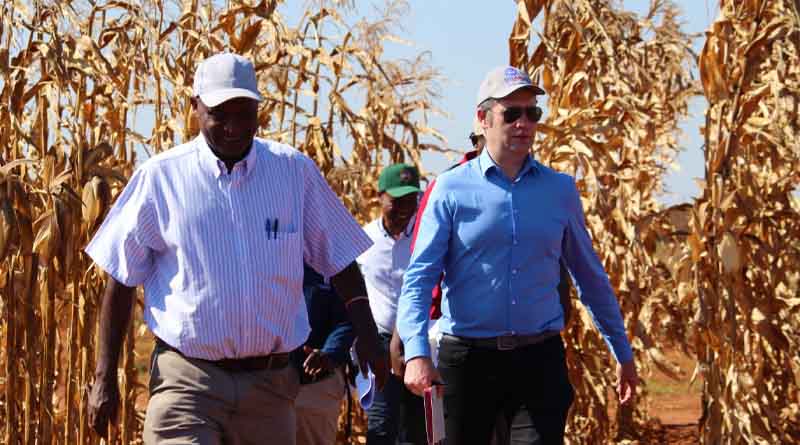 CIMMYT Director General reaffirms commitment to Zambia