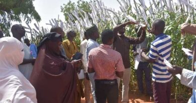Partners from Niger and Chad trained on Seed production at ICRISAT Niger