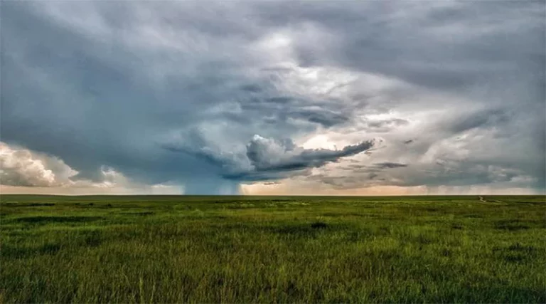 China's agriculture sector witnesses greener development: report
