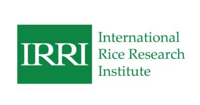 IRRI holds training on revolutionary water-saving technology for sustainable rice production