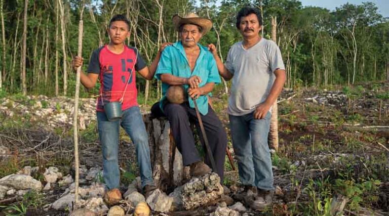 Science and partnerships are critical to reach G7 food security goals