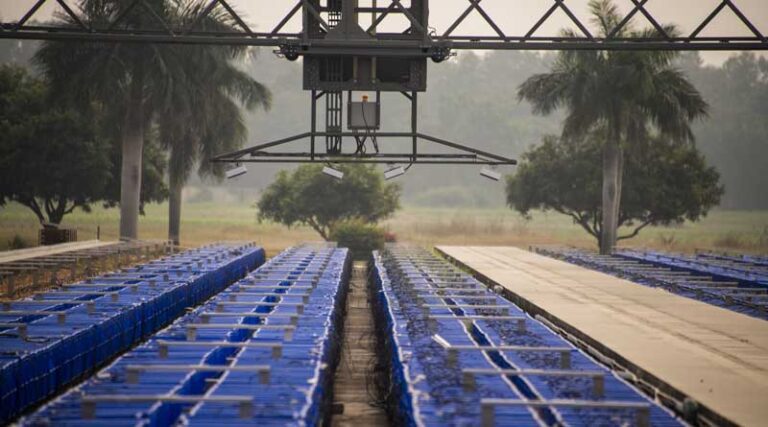 Unleashing the Power of Innovation at ICRISAT: Advancing Crop Breeding with Breakthrough Technologies
