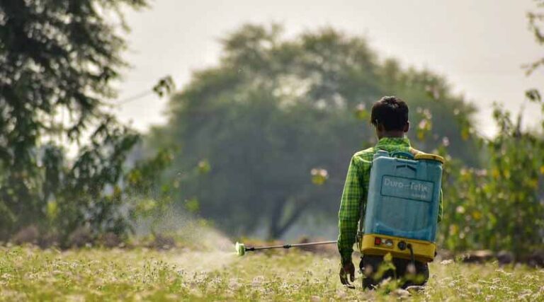 Crop Sprayer App is latest tool in the PlantwisePlus Toolkit