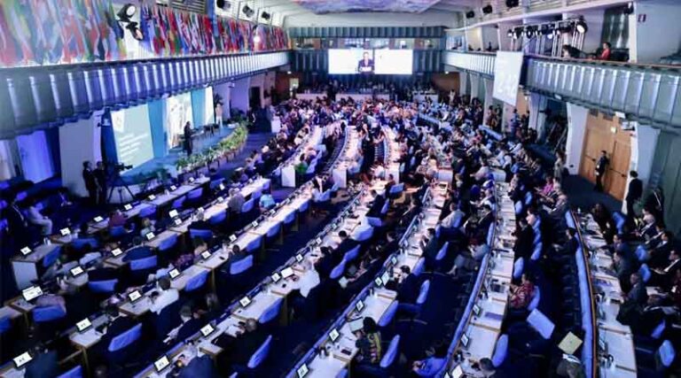 UNFSS+2: Nations discuss successes and challenges to transform agrifood systems
