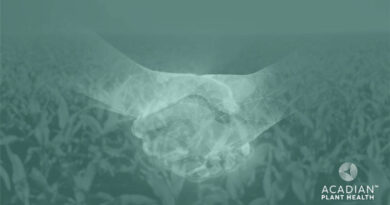 The Power Of Collaboration In Advancing Sustainability Means Actively Engaging In Partnerships With Industry Leaders And Innovators
