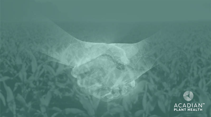 The Power Of Collaboration In Advancing Sustainability Means Actively Engaging In Partnerships With Industry Leaders And Innovators