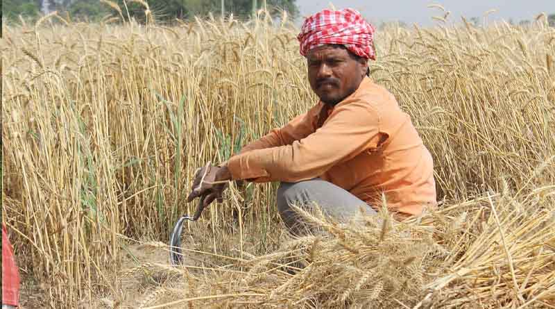 Navigating the Intersection: Exploring the Relationship Between Climate Change and Agriculture