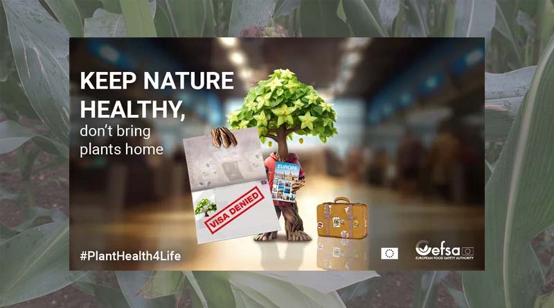 EFSA, European Commission and EU Member States launch #PlantHealth4Life campaign