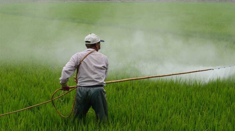 Trade of spurious pesticide continues, factory caught again in Delhi