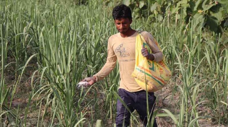 Blockchain Technology: A Farm-to-Plate traceability solution for seed value chain