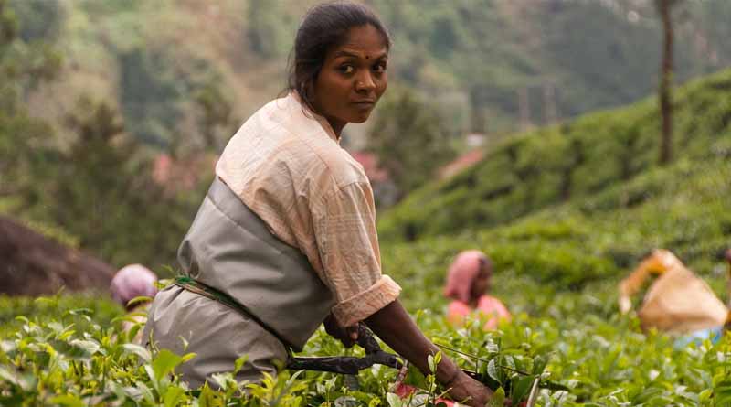 Seeding innovation: Challenges that the Agritech startups are facing and overcoming
