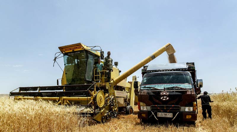 FAO Food Price Index continued declining in June