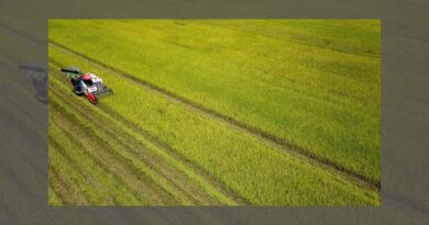 The agricultural sector strives to successfully achieve the set targets.