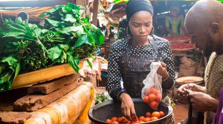 Independent research confirms value of Bayer’s smallholder farming initiatives