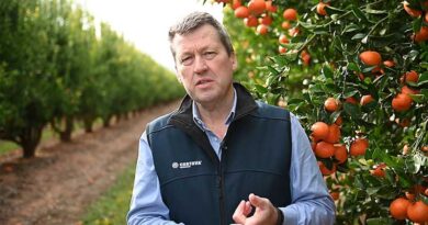 Fruit fly control easy and effective with Naturalure