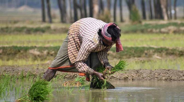 FPO should focus on the development of the value chain and not just production: Manoj Ahuja