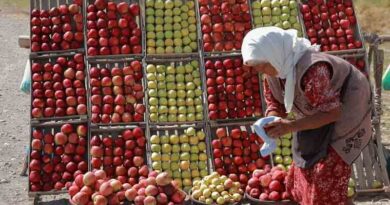 122 million more people pushed into hunger since 2019 due to multiple crises, reveals UN report