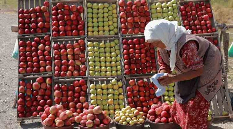 122 million more people pushed into hunger since 2019 due to multiple crises, reveals UN report