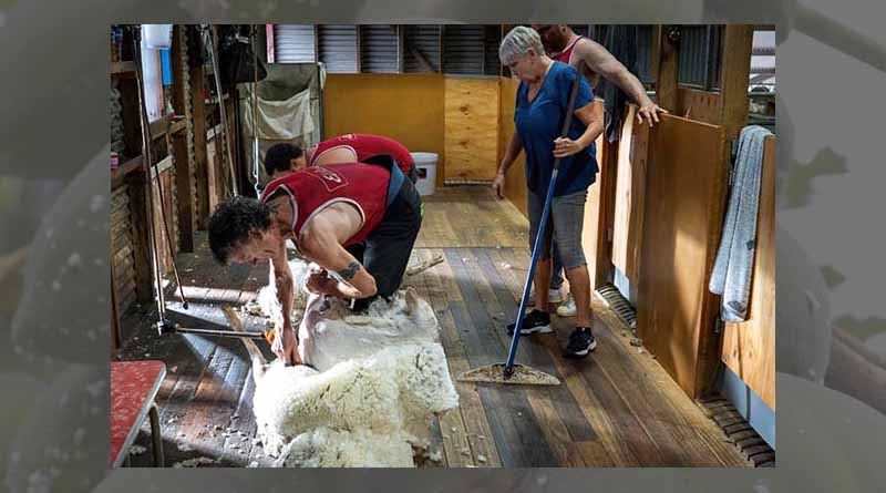 Farming and filmmaking collide for production of Just a Farmer